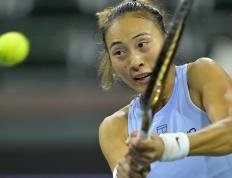 关于巴塞罗那主帅放话：欧冠四强战必胜罗马，郑钦文冷笑回应的信息